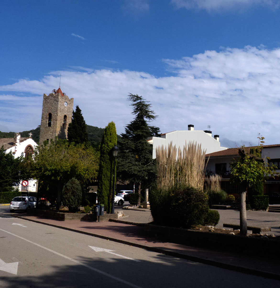Vallromanes