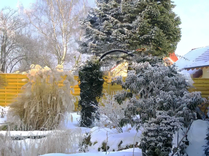 winterlicher GArten
