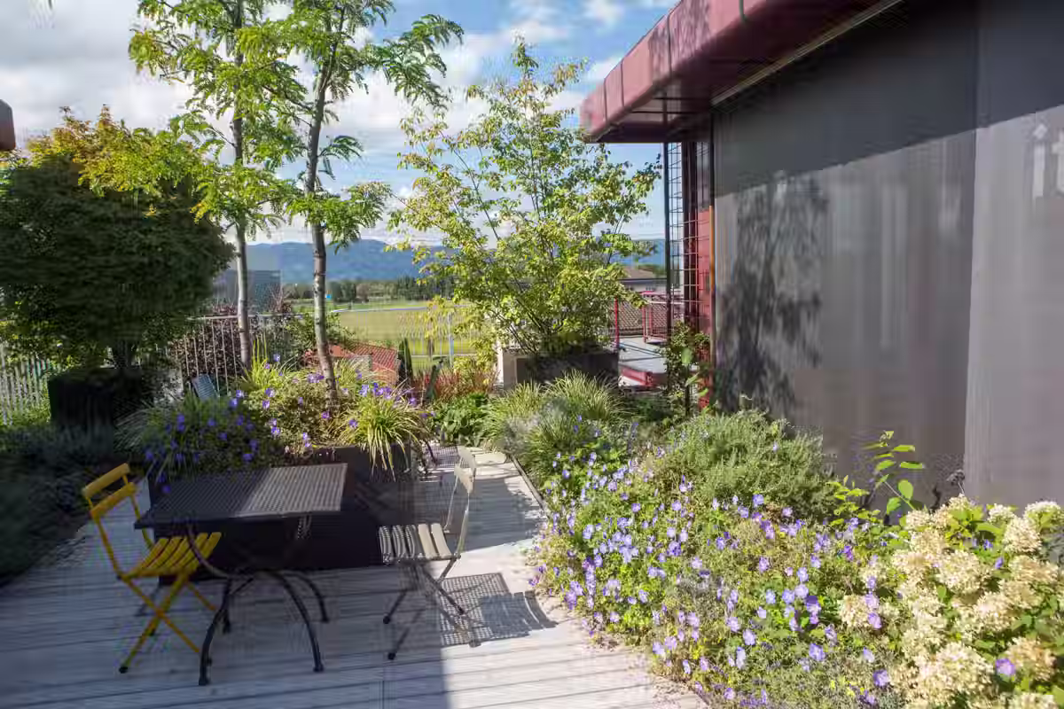 Naturoase in luftiger Höhe